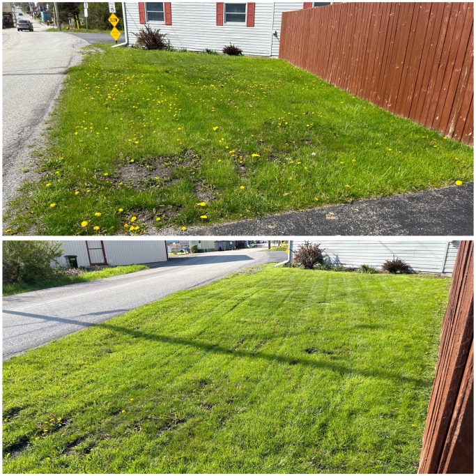 Before and after mowing front yard