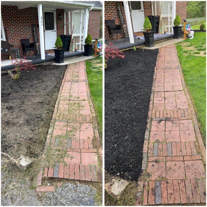 Before and after garden restoration and pathway cleanup