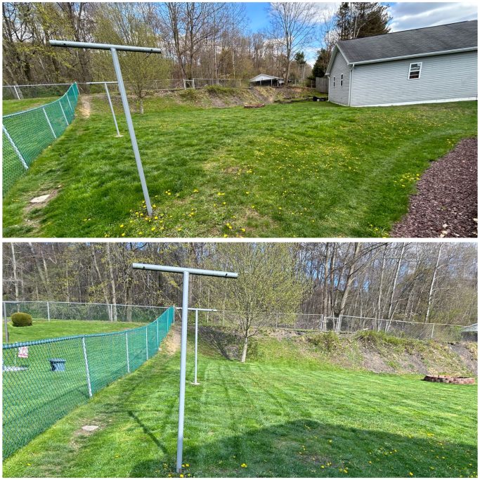 Before/after mowing back yard
